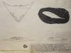 Tech Drawing of Niyon Interstellar Crusier.