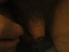 My Penis as it Looks Sheathed