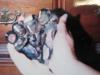 Skunks in a bundle