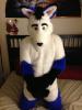 Jason_Husky