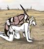 Oryx Style