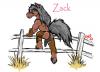 Zack