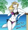 Wish You Were Here