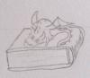 Bookdragon