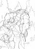 Deep Throat, SJWolf, Demi, Wolfknightx