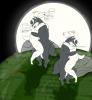 chevre et loups