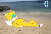 Tailskorou