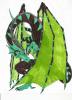 Draegon2