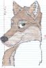 My furry wolf