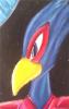 falcos path