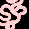 pink snake