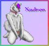 Xadron