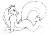 male wolf pose