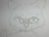 Sketches