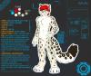 Reference Sheet for Nikolai