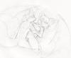 namelessimp sketch