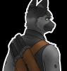 Ringtailmaster