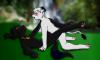 wolf_guardian
