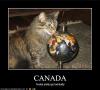 Canada tastes good :3