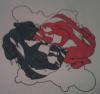 badger yin-yang