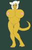 prego kangaroo
