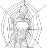 spider wed
