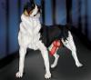 Fertility dog