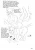 Cathy's Cat Transformation 5 (Human F>F Cat)