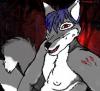Me the wolf