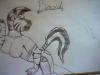 Braid the Zebra