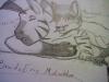 Braid the Zebra and Eric McLochlyn 2