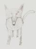 Wolf sketch