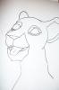 Top Lion Facial Study