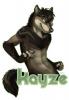 Kayze Badge
