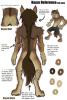 Kayzes sheet