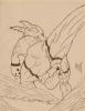 Guilmon anatomy