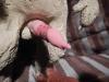 Penis Pokin' Out #2