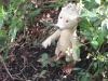 Pokin' Out Through the Bushes