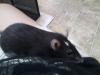 Ceela^^