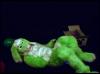 Irradiated Rabbit (1/2) in Bal...