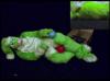 Irradiated Rabbit (2/2) in Bal...