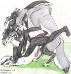 Taurs