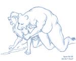 bears