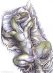 lizards