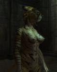 Oblivion Furries - Khajiit & Argonian screenies/art