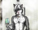 this image complete pls