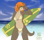 bikini's and swimsuit's