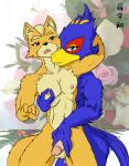 starfox - falco x fox