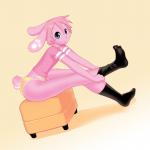 bunnys