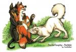 wolf
